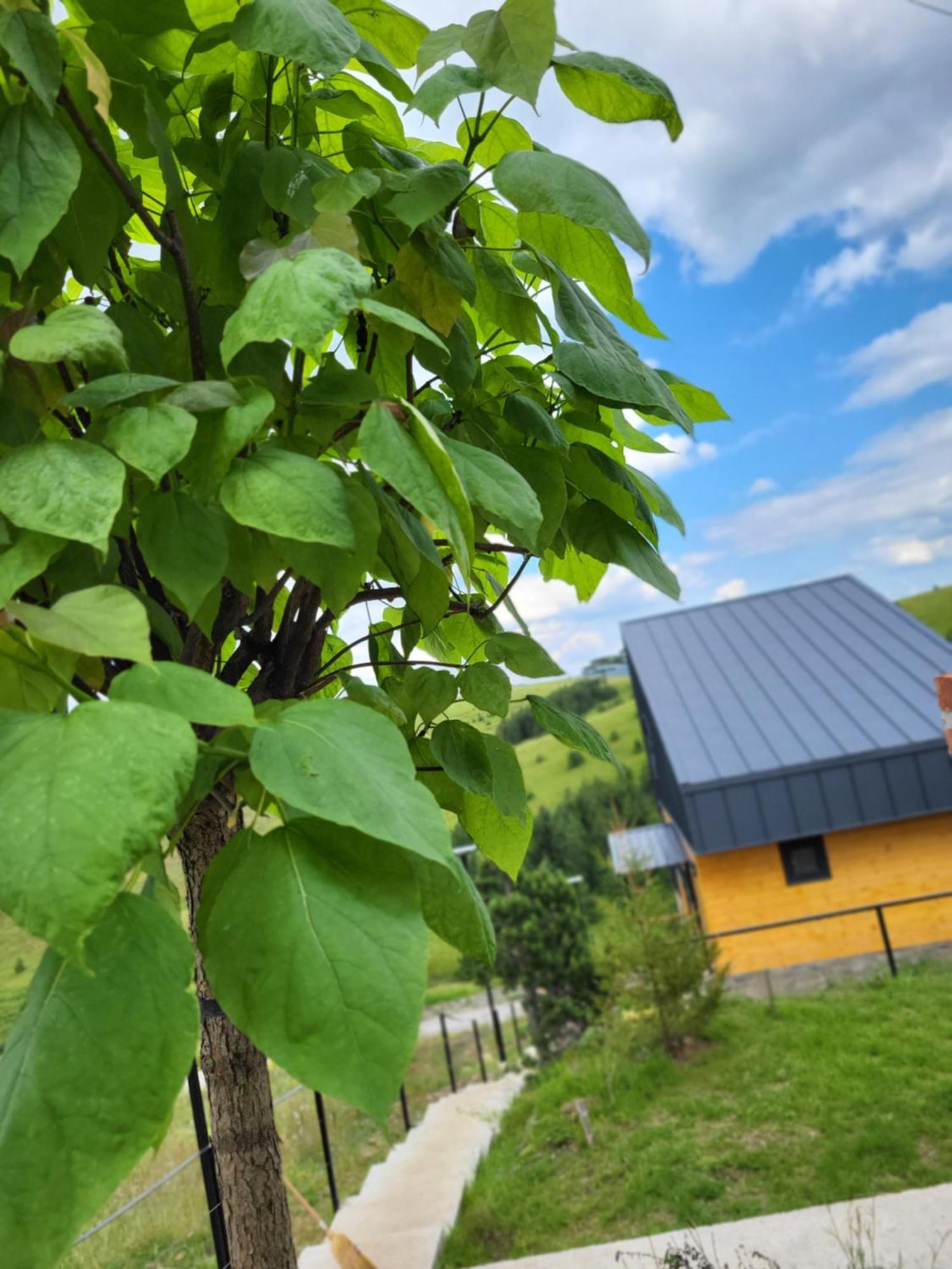 Huut Villa Zlatibor Exterior photo