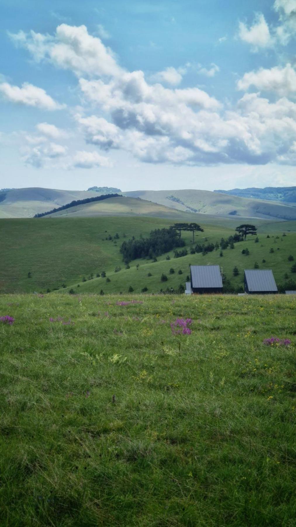 Huut Villa Zlatibor Exterior photo